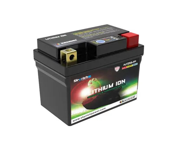Skyrich LiFePO4 Batterie wartungsfrei Begrenztes Angebot