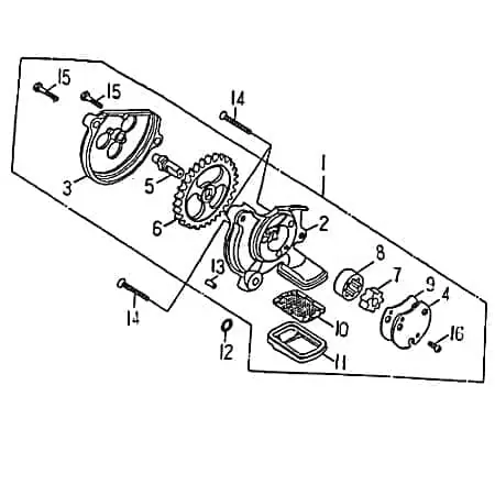 Sichere Zahlung Barossa Cheetah 250 Dichtung Abdichtung 250ccm 4Takt 91018 SEAL Gasket 250ccm-4Takt Quad ATV Rex Quad 150 UTV Ersatzteil Service