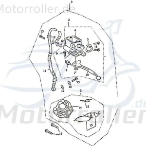 Haltefeder Bremsbeläge Druckfeder 305-HDDMI-003-013 Expressversand