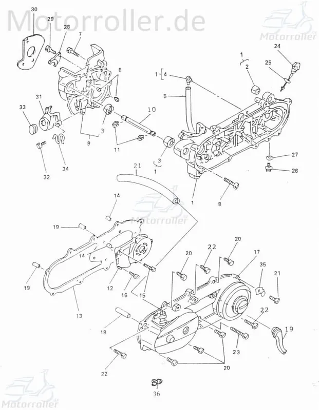 Adly Senkkopfschraube JET 50 Senkschraube Roller 50ccm 2Takt Senkkopf-Schraube Senk-Schraube Minarelli liegend Scooter Ersatzteil Aktuell