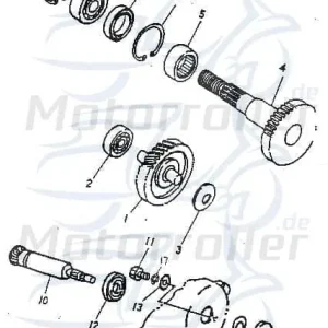 AEON Cobra 100 Zwischenrad Getriebe ATV 100ccm 2Takt 23420-117-000 Getrieberad Getrieberitzel Zahnrad Getriebe Quad UTV Super-Preis