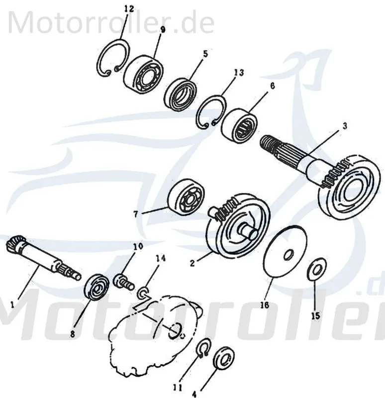Rex REXY 25-50 Tellerscheibe Roller 50ccm 2Takt 97201-061910 Druckscheibe Federunterlagsscheibe Minarelli liegend Scooter Quad 50 Expressversand