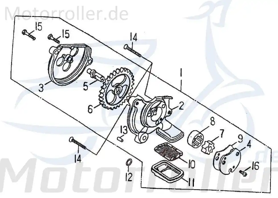 Günstig Rotor innen Barossa Cheetah 250 Magnetscheibe 250ccm 4Takt Lichtmaschine Standard 250ccm-4Takt Quad ATV Rex Quad 150 UTV Ersatzteil