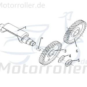 Abtriebsrad Ausgleichswelle Kreidler DICE SM 50 LC 733109 Abtriebsritzel Zahnrad 50ccm 2Takt Motorrad Supermoto 50 DD Ersatzteil Rabatt