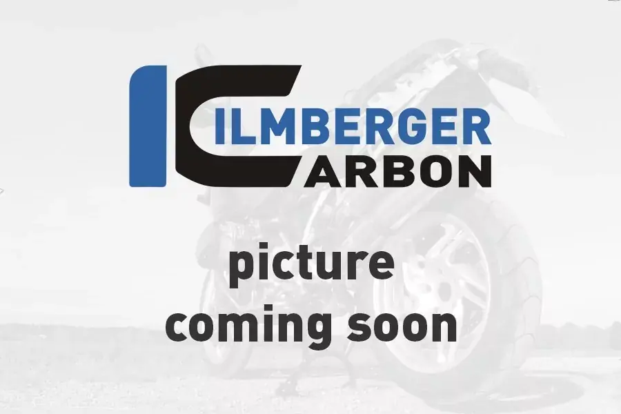 Wochenendangebot Ilmberger Carbon Armaturenabdeckung glanz passend für Ducati Scrambler