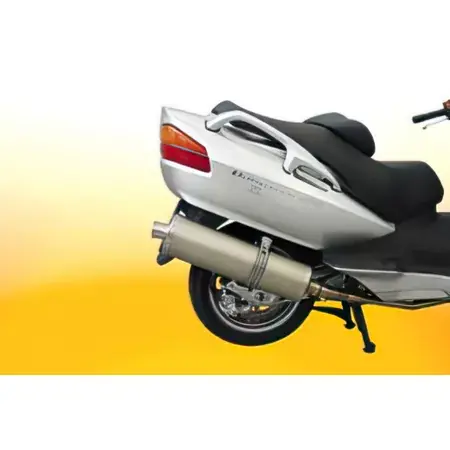 Auspuff Malossi Wild Lion Piaggio MP3 Solange Der Vorrat Reicht