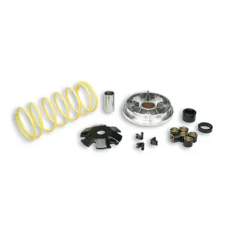 Variomatik Malossi Multivar Piaggio Sfera / Zip 1991-1994 Neu Im Sortiment