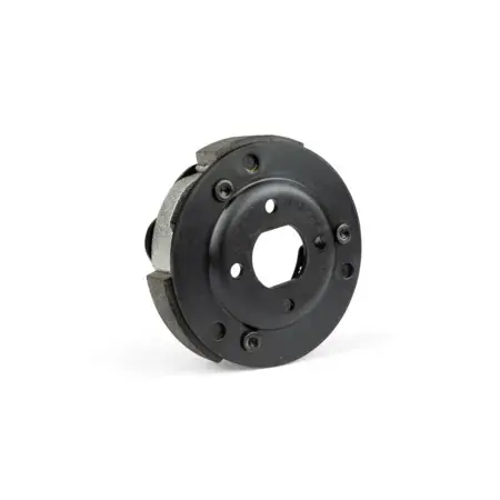 Kupplung Malossi Delta Clutch Piaggio / Peugeot / Kymco / Sym 107mm Billig