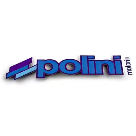 Nur Heute Aufkleber Logo Polini 34x11cm