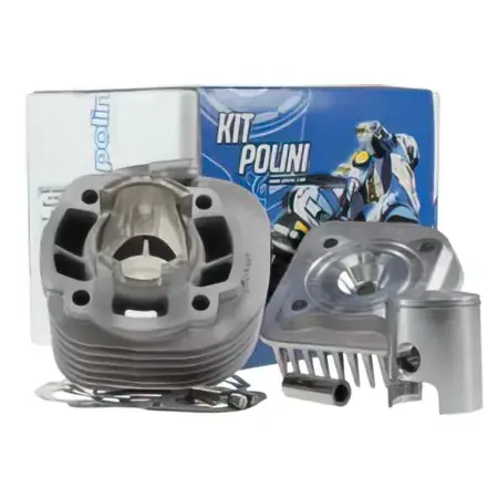 Zylinder Polini Evolution 50cc, Minarelli liegend AC, d=40,2, 12mm Zertifiziert