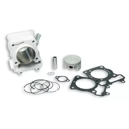Zylinder Kit Malossi D.61mm Honda SH / Pantheon 150cc Sonderangebot