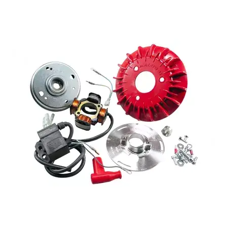 Zündung Malossi VESPower Konus d.20mm - 1,2kg Vespa PX 80 - 200cc Begrenztes Angebot