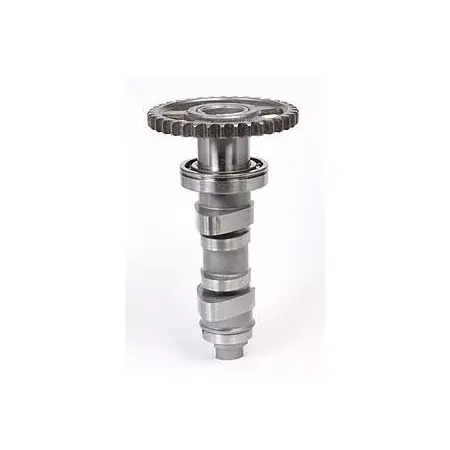 Nockenwelle Stage 2 Hot CamsHonda CRF 450 2009 Must-Have