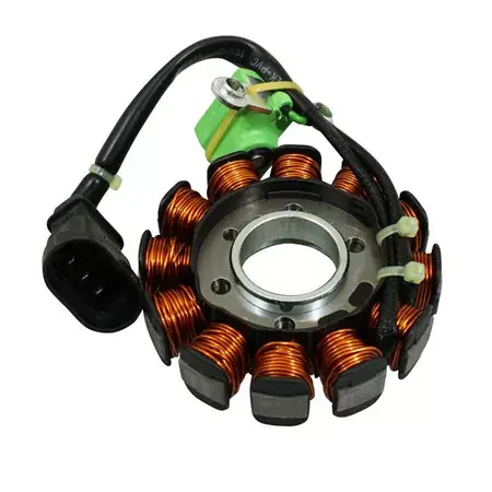 Expressversand Stator Lichtmaschine Kokusan Piaggio Typhoon ab 2018